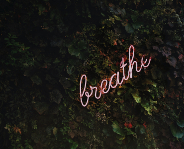 tim goedhart vnpTRdmtQ30 unsplash.jpg