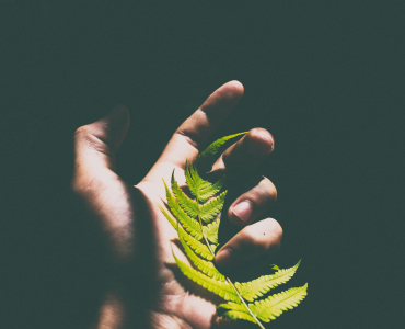 hold onto  unsplash.jpg